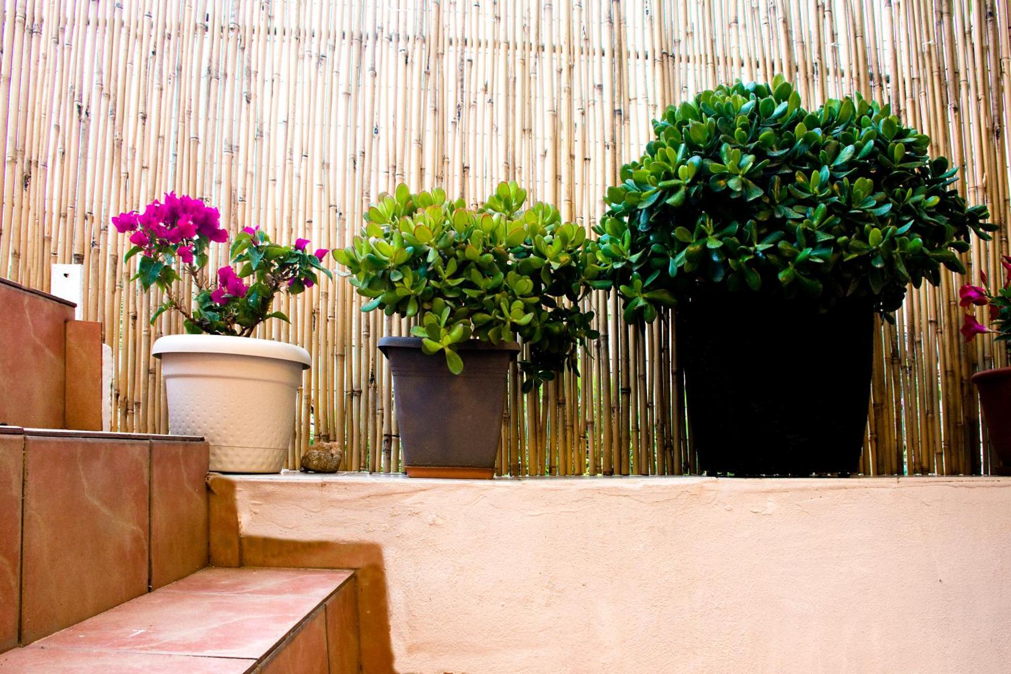 Villa Lilian'S House Chania  Exterior foto